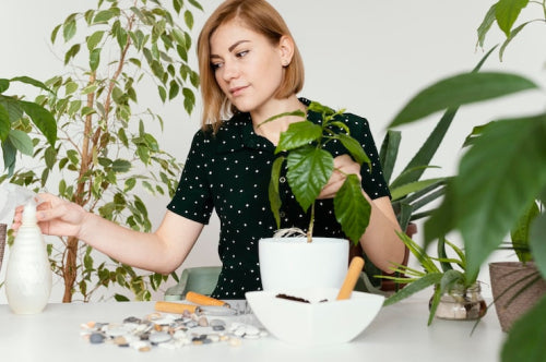 The Benefits of Herbal Skincare: Why You Should Switch in 2026