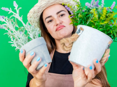 The Best Herbal Products for Oily Skin You Need to Try in 2026