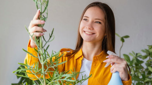 Plant-Based Ingredients and Their Role in Hair Strength