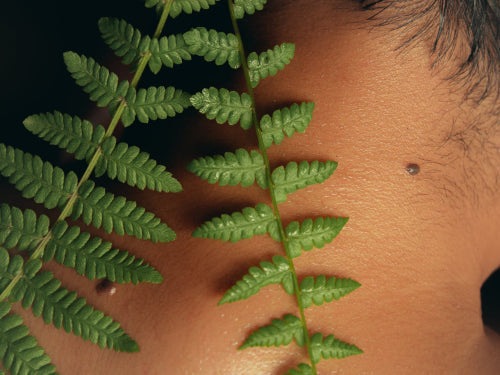 Ayurvedic Techniques for Maintaining Skin Barrier Health