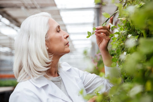The Science of Herbal Anti-Aging Formulations