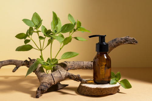 Integrating Botanical Extracts Into Modern Haircare