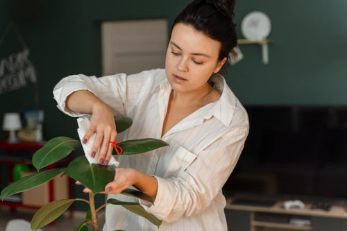The Rise of Evidence-Based Botanical Beauty Research