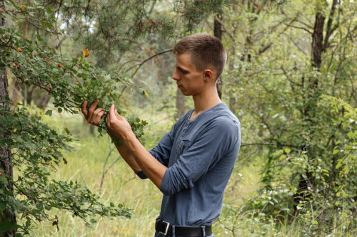 Forest Essentials Acquisition and Implications for Global Ayurvedic Brands