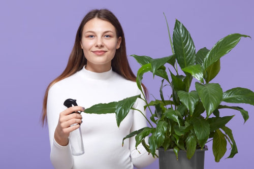 Sustainability and Ethical Sourcing in Ayurvedic Haircare