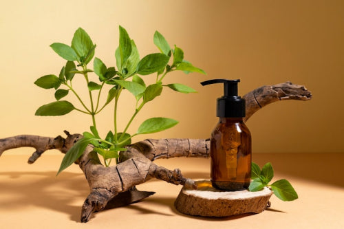 Amla Shikakai Shampoo vs Botanical Shampoo: Which Hair Cleanser Fits You?