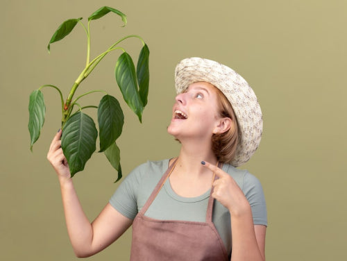 What Makes Ma Earth Botanicals Different From Ordinary Beauty Brands?
