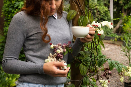 Why Botanical Ingredients Work Well Across Seasons