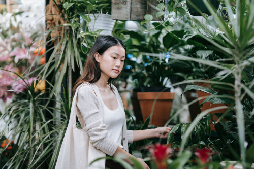 Why Botanical Beauty Fits Sustainable Living