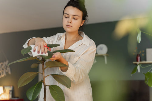 How Botanical Beauty Supports Mindful Living