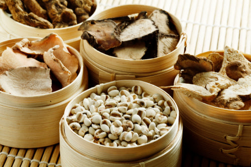 How Botanical Ingredients Support Healthy Aging