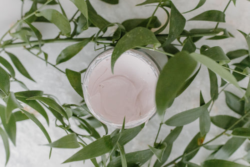 What to Look for in a Botanical Moisturizer