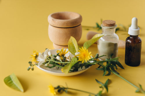 What to Review Before Buying Botanical Beauty Products