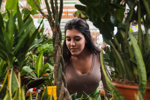 Why Sustainable Beauty Is the Future of Indias Wellness Industry