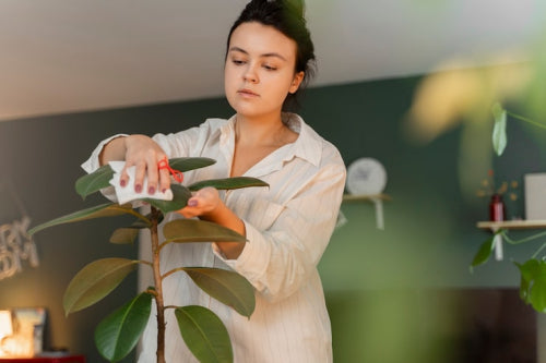 Ma Earth Botanicals: Why Clean Beauty Isnt Just a Trend but a Movement