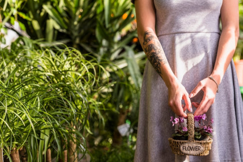Exploring the Healing Power of Botanicals: How Ma Earth Botanicals Uses Natures Gifts to Benefit Your Skin