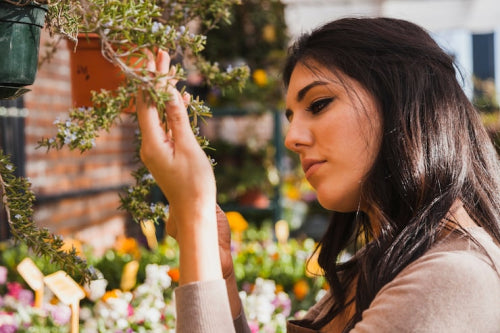 How Indian botanical beauty brands balance sustainable sourcing with premium pricing in a margin-sensitive market