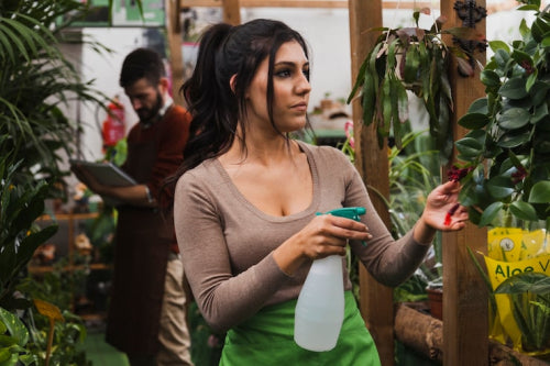 The Shift Toward Vegan Beauty Products in Indias Market