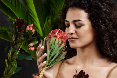 How Botanical Ingredients Are Redefining Skincare in India