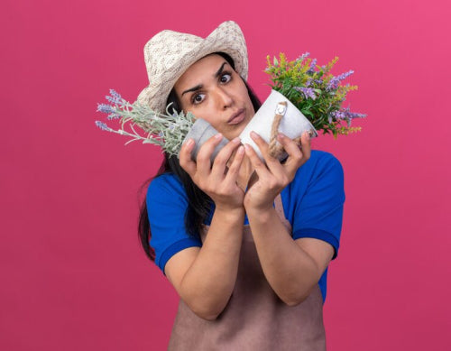 The Growing Demand for Cruelty-Free Beauty Products in India