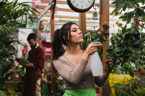 The Surge of Organic Haircare Products in Indias Market