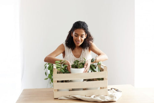 Sustainable Packaging Gains Momentum in Indian Beauty