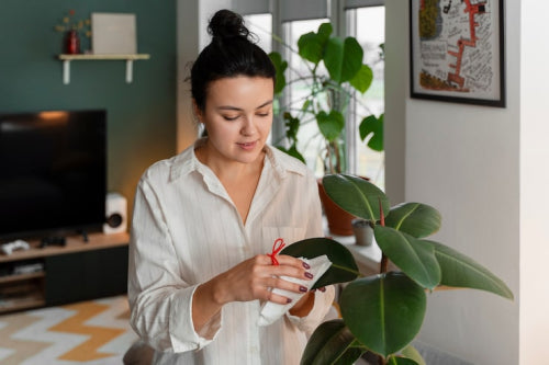 The Growing Demand for Cruelty-Free Skincare Solutions