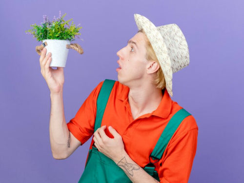 How Botanical Face Masks Are Revolutionizing Skincare