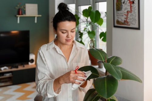Exploring the Growing Interest in Plant-Based Beauty Solutions