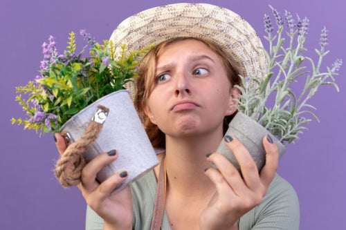 Herbal Remedies for Dry Skin and Pigmentation