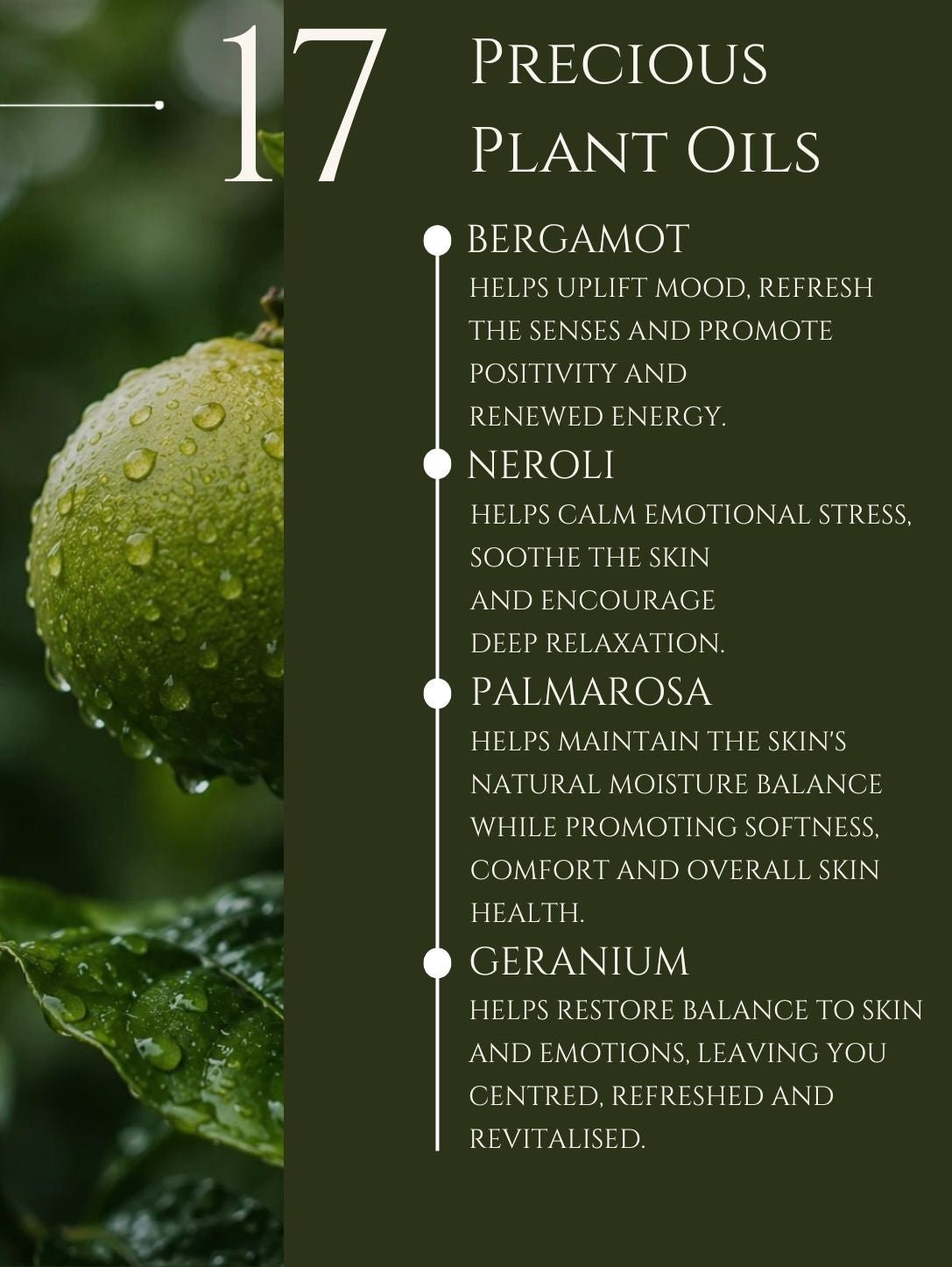 EVERYDAY WELL-BEING MASSAGE OIL    No 17   BERGAMOT | GERANIUM | PALMA ROSA
