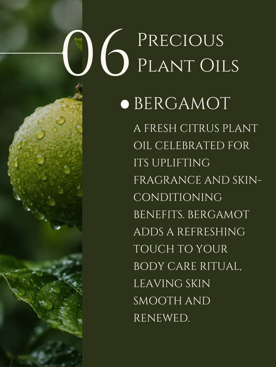 HAND AND BODY LOTION    ALMOND | APRICOT    No 6. BERGAMOT