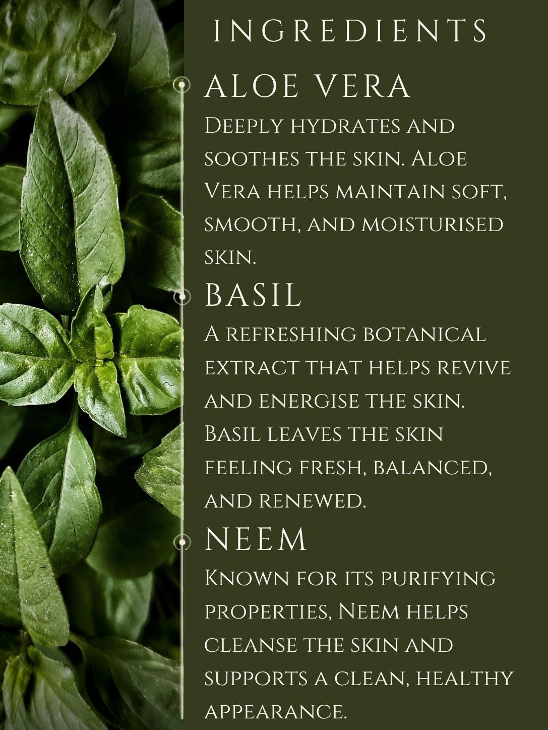 BODY CLEANSER     ALOE VERA | BASIL    No 5. PAPYRUS | SANDALWOOD