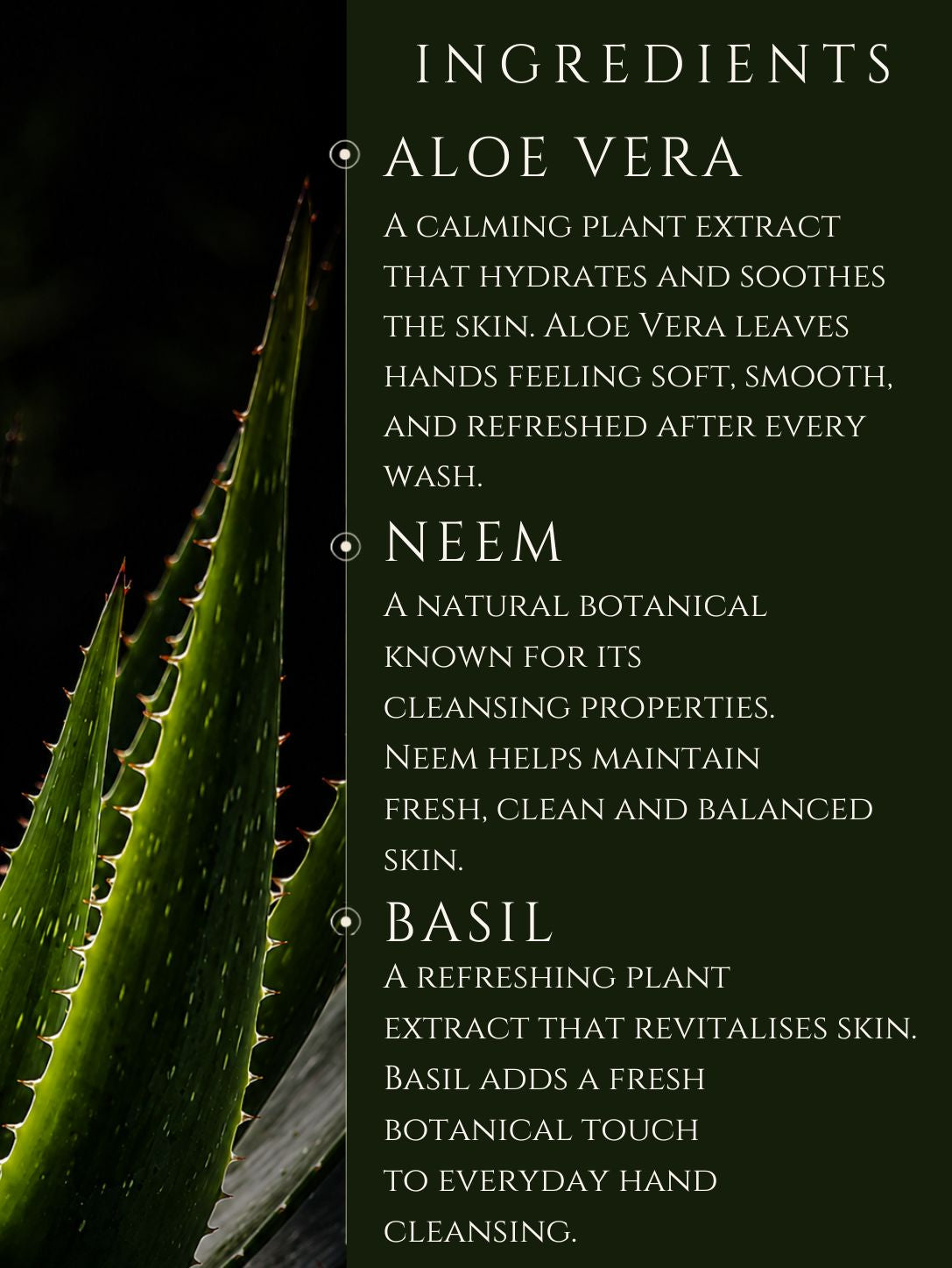 HAND WASH     ALOE VERA | NEEM    No 6. BERGAMOT