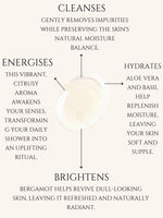 BODY CLEANSER No 6. BERGAMOT ALOE VERA | BASIL