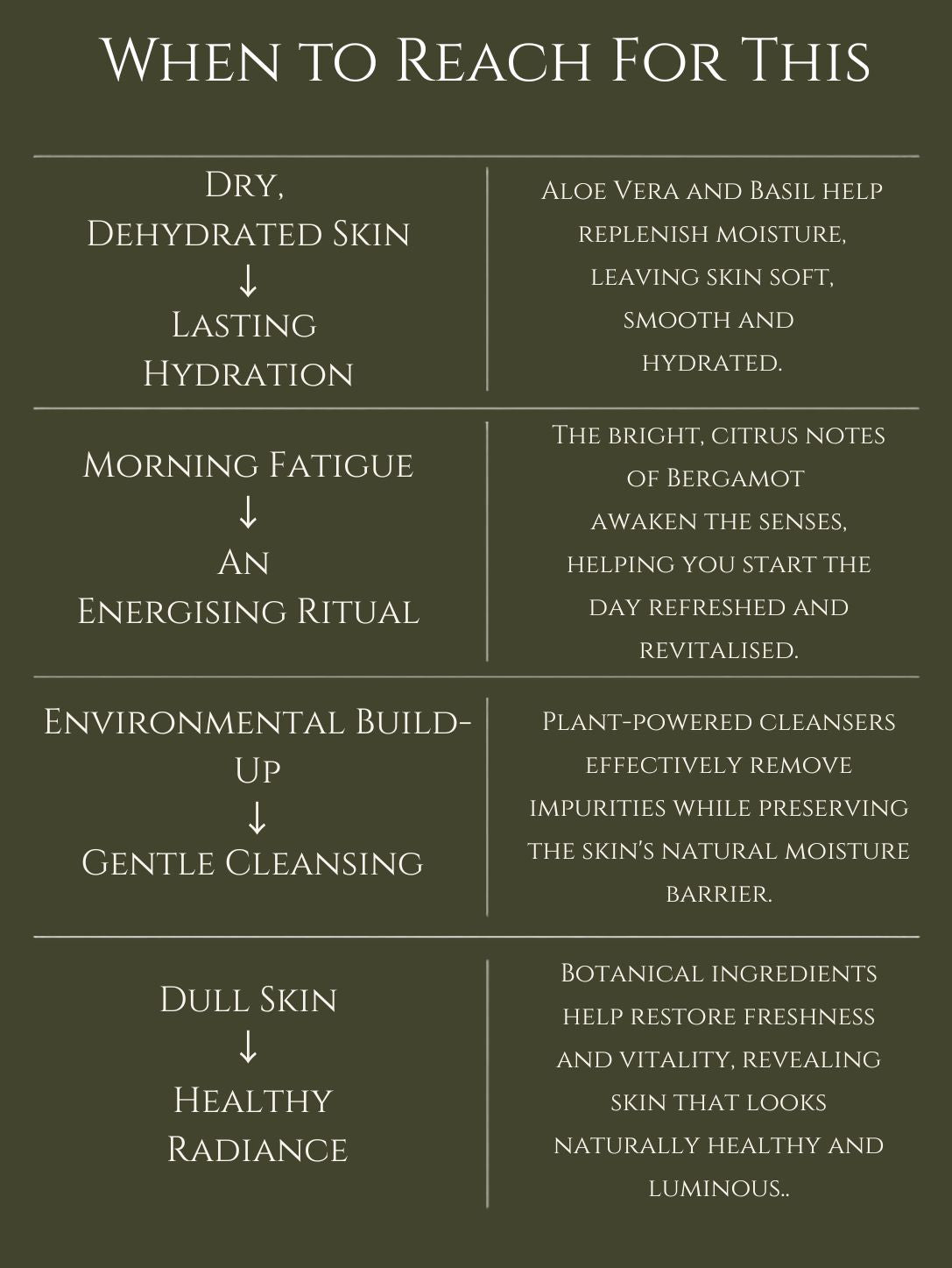BODY CLEANSER No 6. BERGAMOT ALOE VERA | BASIL