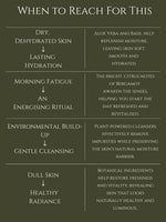 BODY CLEANSER No 6. BERGAMOT ALOE VERA | BASIL