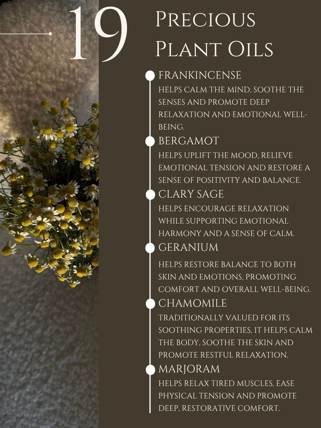RELAXING MASSAGE OIL      No 19   FRANKINCENSE | BERGAMOT | CLARY SAGE | CHAMOMILE | MARJORAM