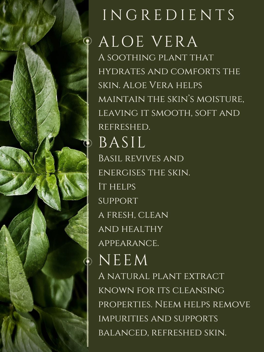BODY CLEANSER No 6. BERGAMOT ALOE VERA | BASIL