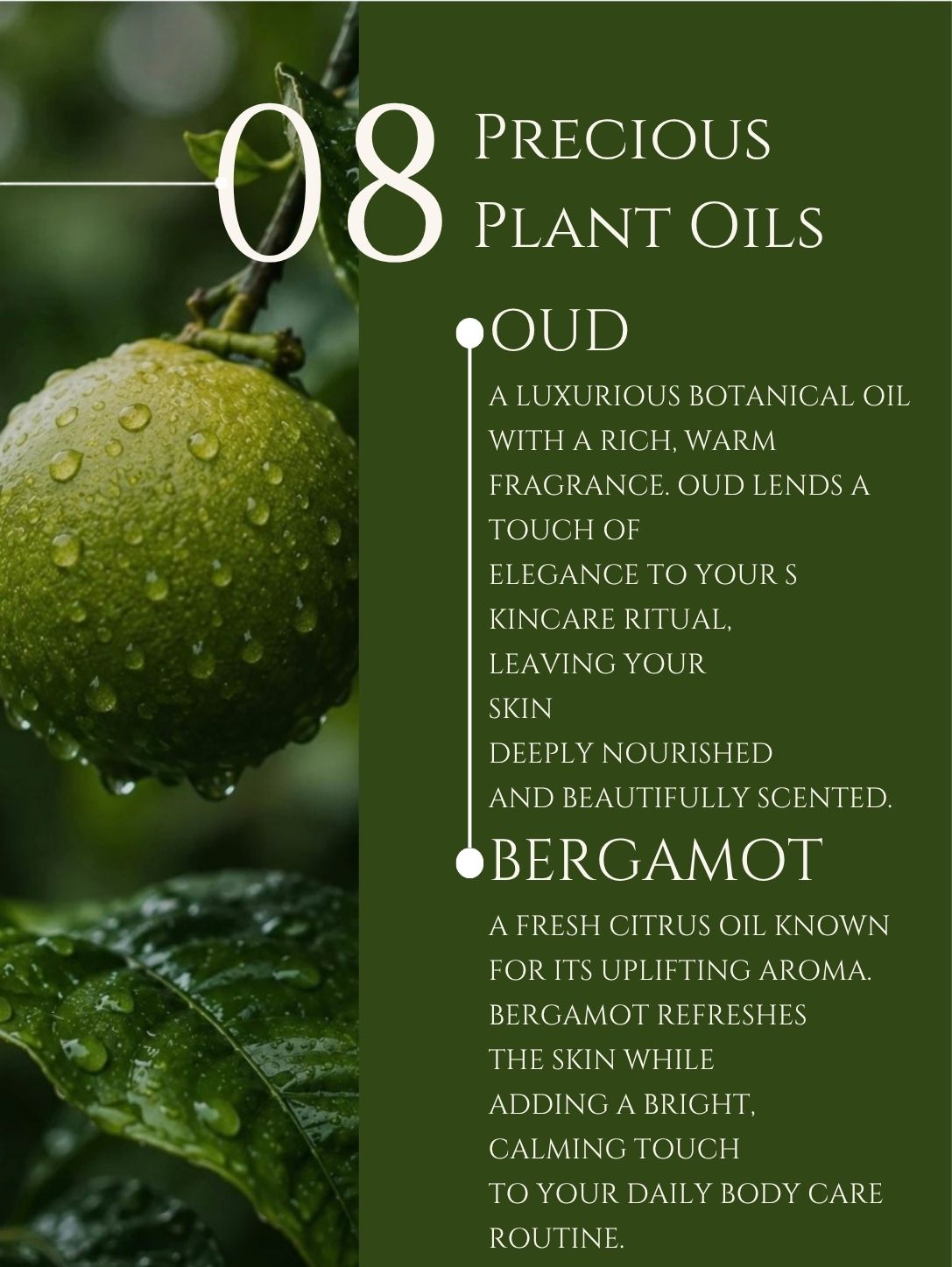 HAND AND BODY LOTION    ALMOND | APRICOT    No 8. OUD | BERGAMOT
