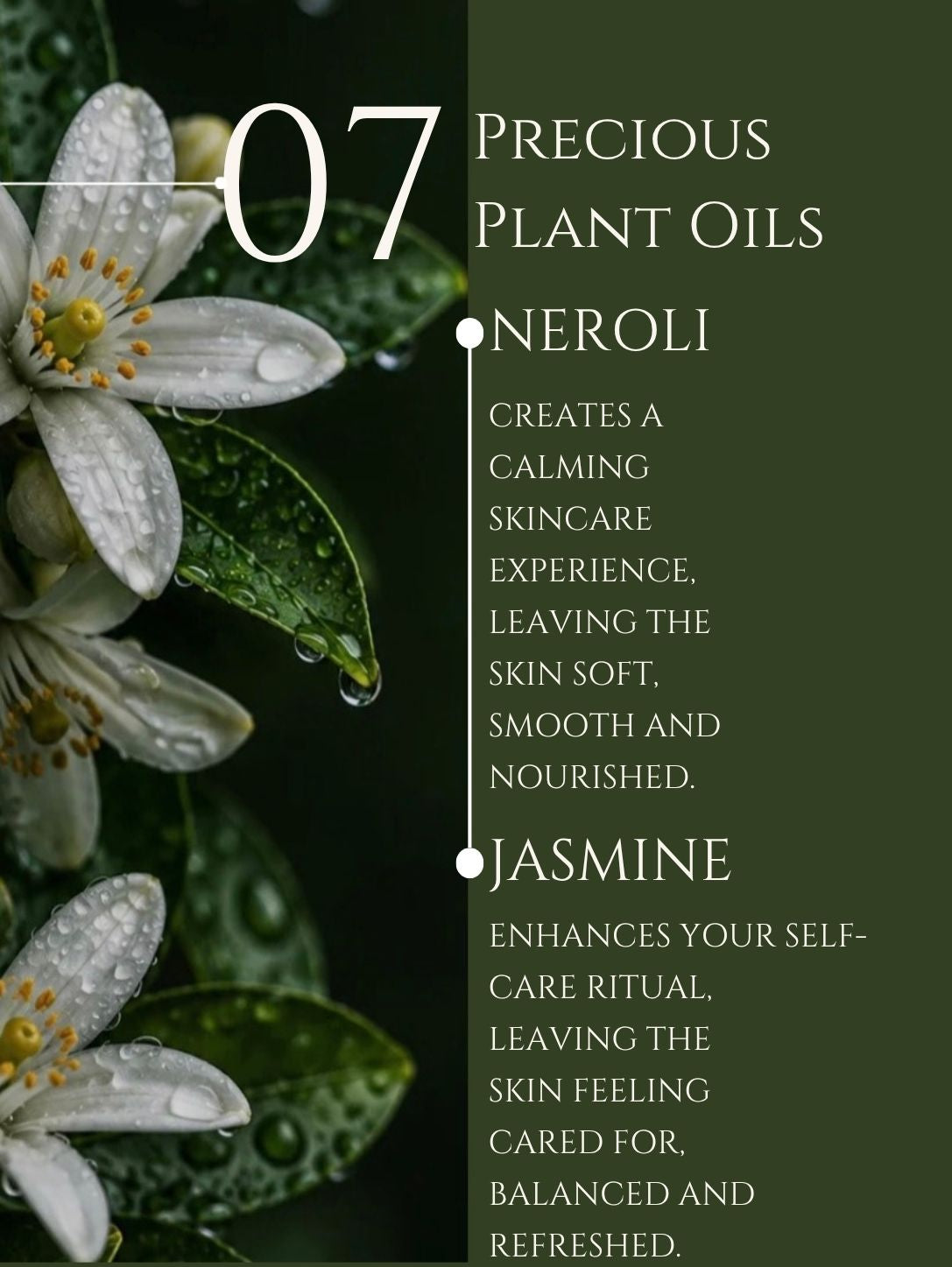 BODY CLEANSER     ALOE VERA | BASIL    No 7. NEROLI | JASMINE