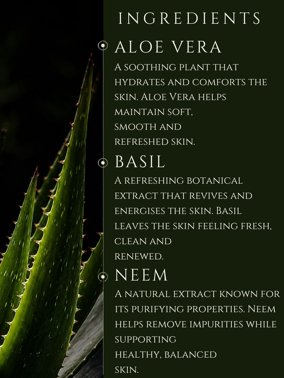 BODY CLEANSER     ALOE VERA | BASIL    No 7. NEROLI | JASMINE