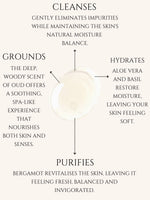 BODY CLEANSER No 8. OUD | BERGAMOT ALOE VERA | BASIL