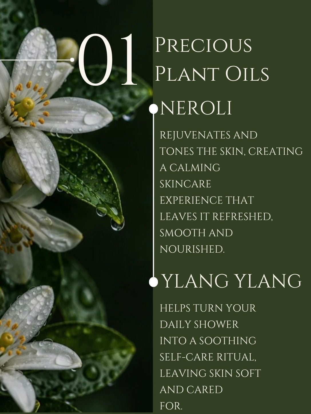 BODY CLEANSER      No 1. NEROLI | YLANG YLANG      ALOE VERA | BASIL