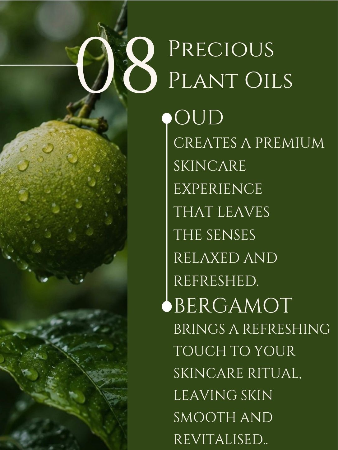 BODY CLEANSER No 8. OUD | BERGAMOT ALOE VERA | BASIL