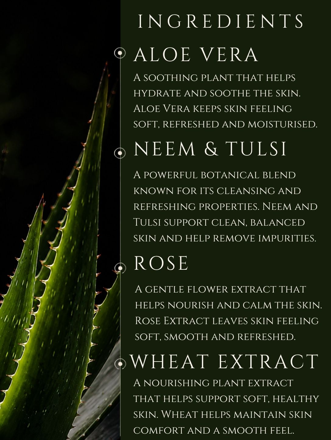 BODY CLEANSER No 8. OUD | BERGAMOT ALOE VERA | BASIL