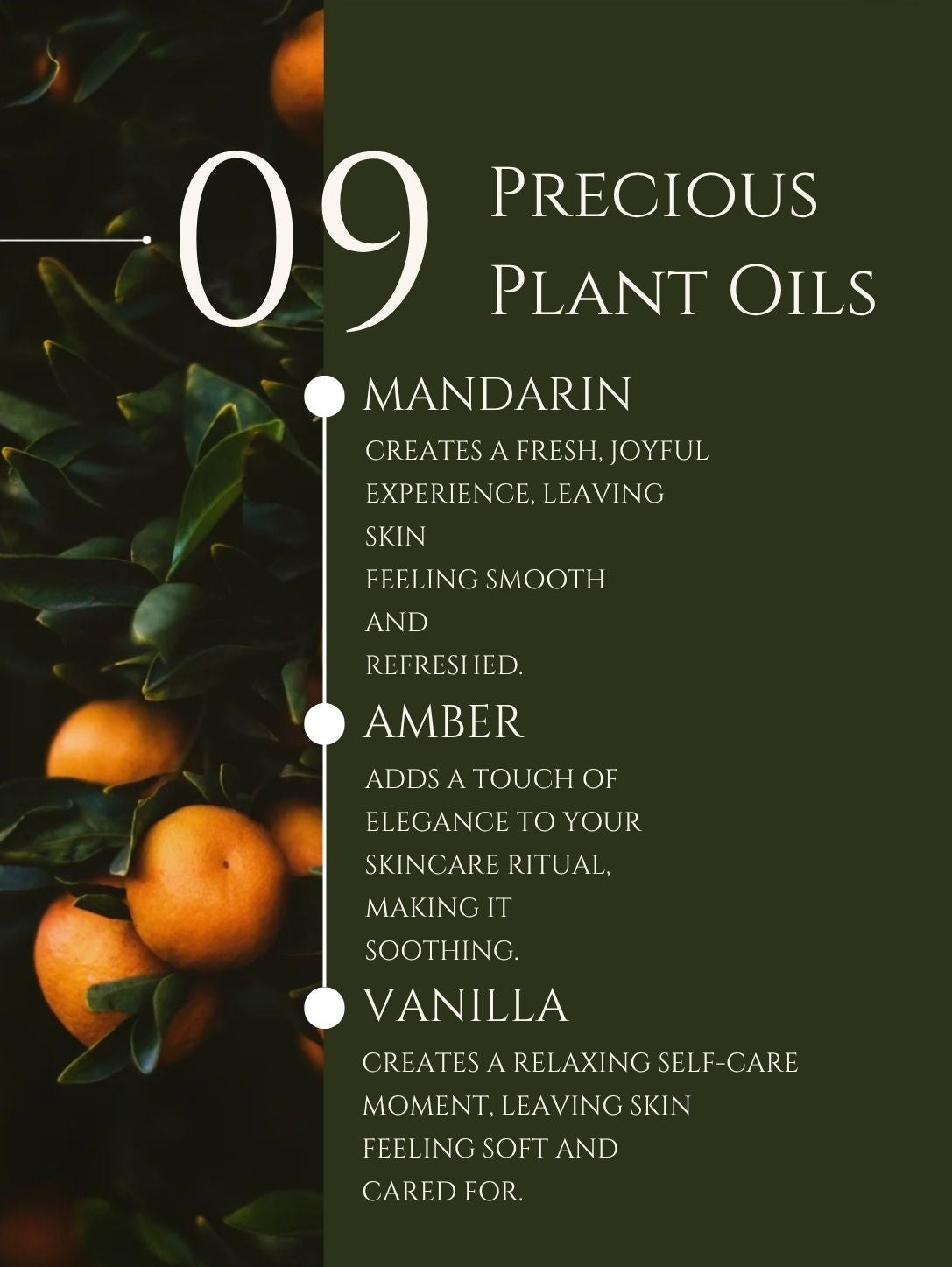 BODY CLEANSER No 9. MANDERIN | AMBER | VANILLA ALOE VERA | BASIL