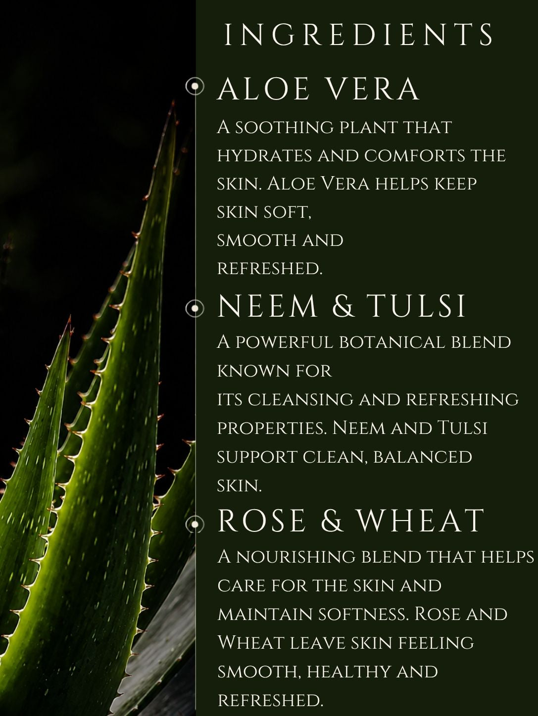 BODY CLEANSER No 9. MANDERIN | AMBER | VANILLA ALOE VERA | BASIL