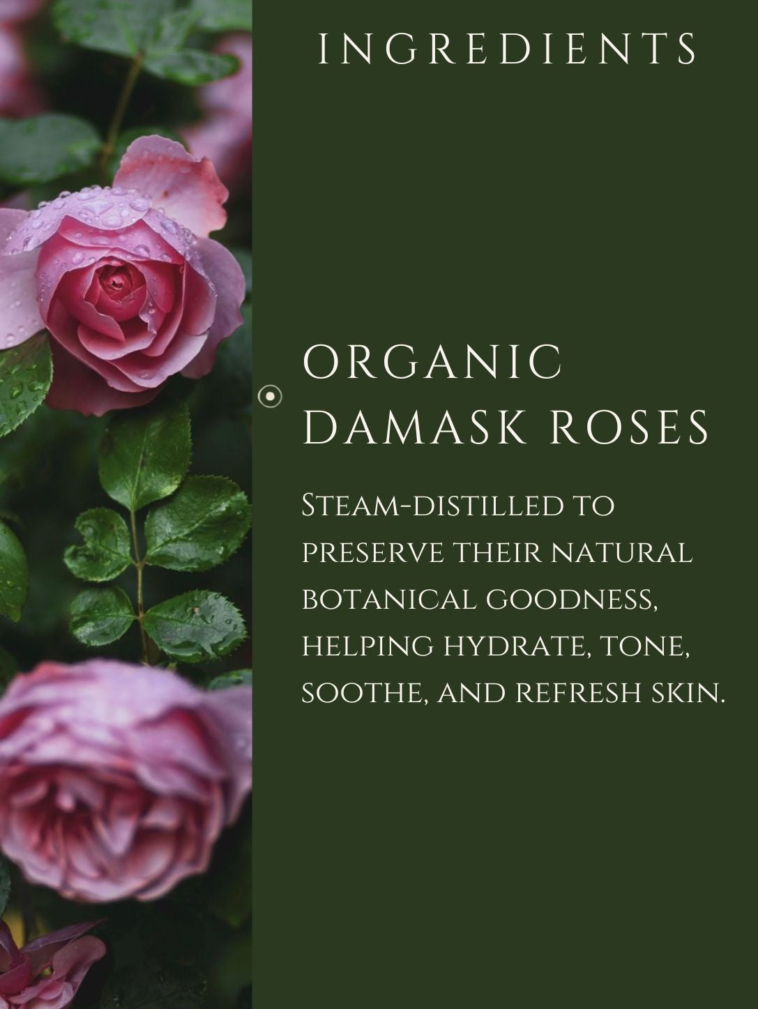 ROSE WATER    100% PURE STEAM-DISTILLED EDIBLE ROSE WATER FROM ORGANIC DAMASK ROSES GROWN IN UTTARAKHAND    FROM ORGANIC DAMASK ROSES GROWN IN UTTARAKHAND