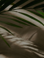 HAND WASH     ALOE VERA | NEEM    No 1. NEROLI | YLANG YLANG